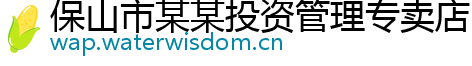 保山市某某投资管理专卖店